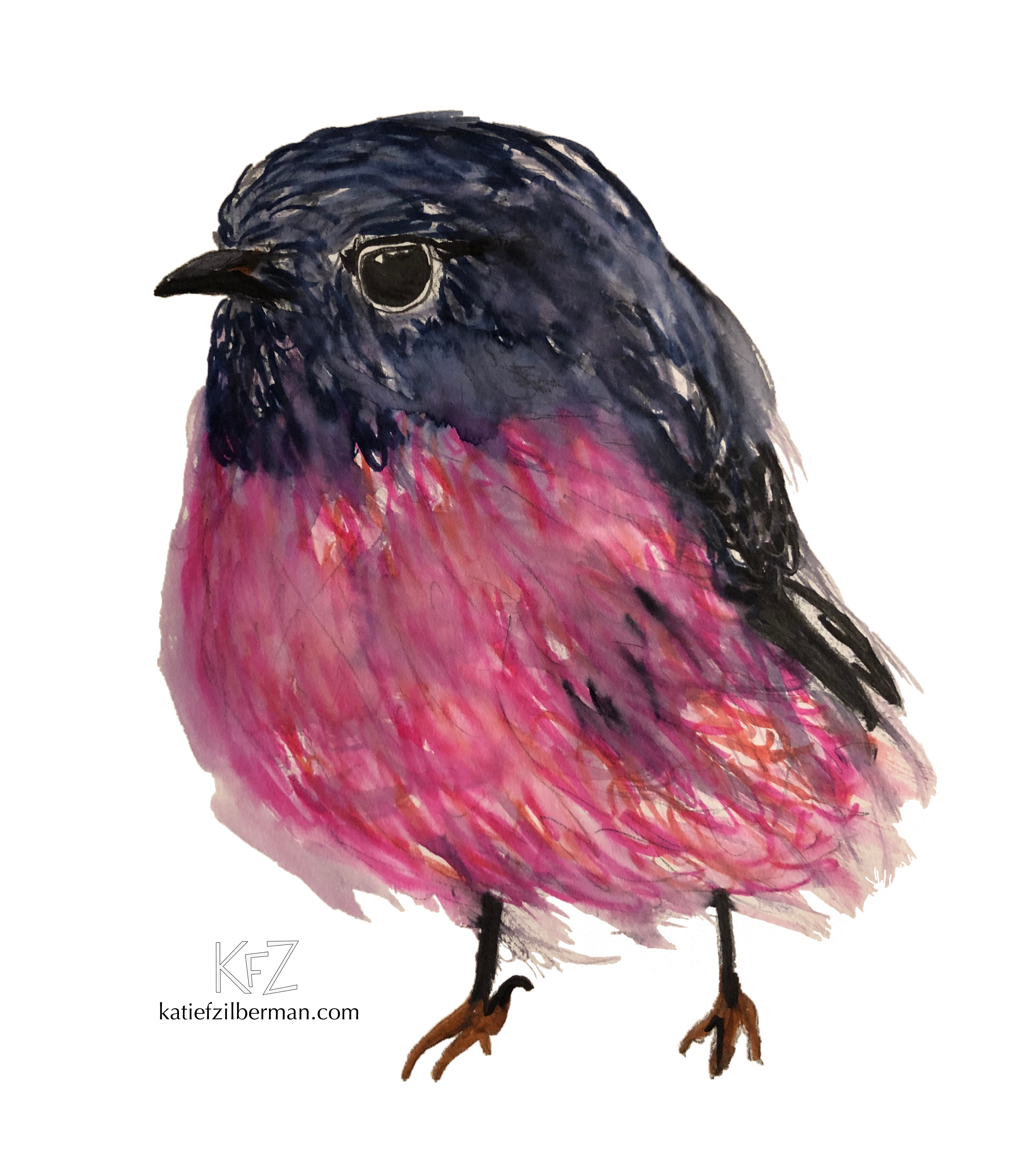 Pink Robin_no background_wm