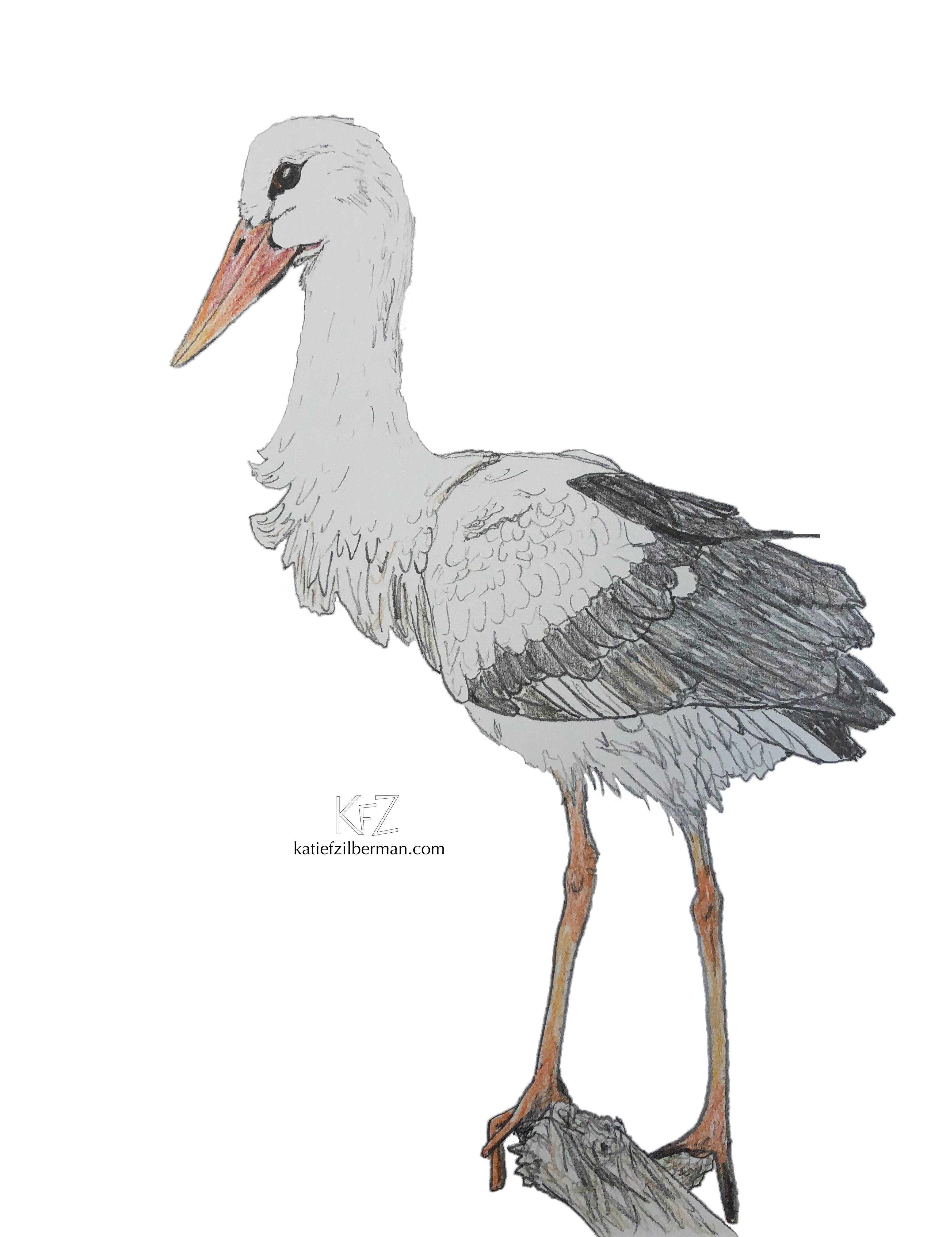 Stork_no background_wm